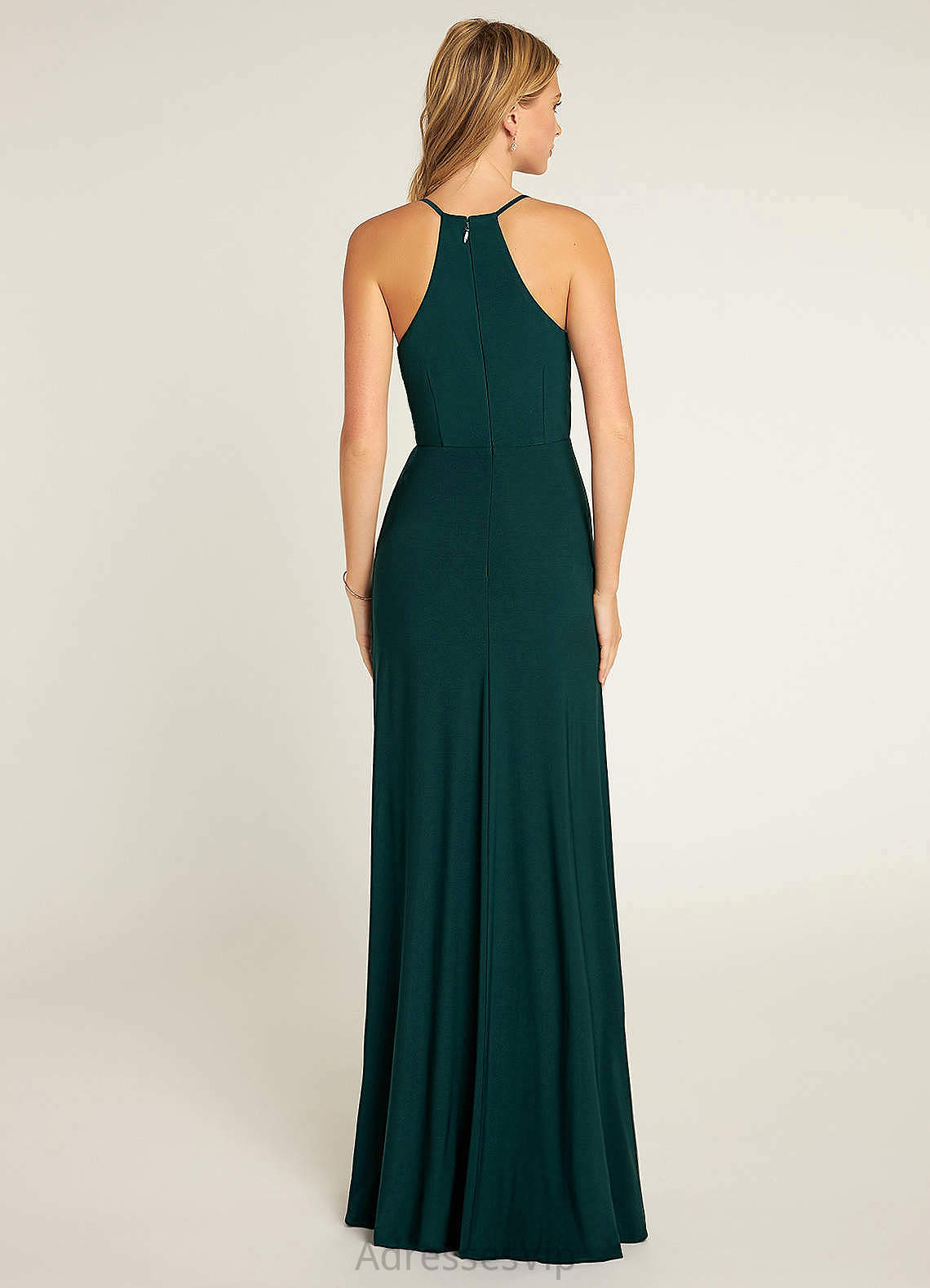 Iyana Floor Length A-Line/Princess V-Neck Sleeveless Natural Waist Bridesmaid Dresses